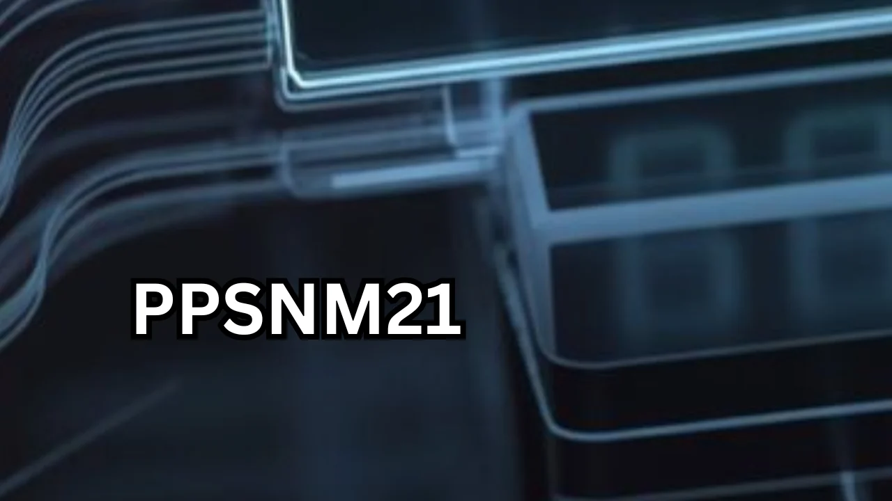 Everything You Need to Know About ppsnm21